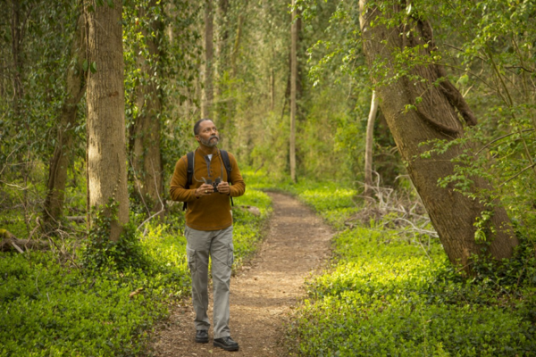 Person walking on a forest path surrounded by green trees