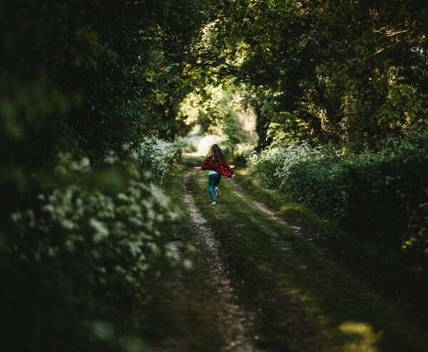 Person walking along a quiet path surrounded by trees